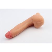 Chisa Dildo Mr.Right 10" Kød, billede 3