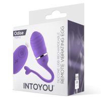 IntoYou Vibrerande Egg (Lila), bild 5