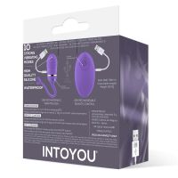 IntoYou Vibrerande Egg (Lila), bild 4