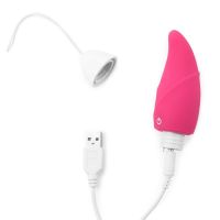 Lovetoy Värisevä Kananmuna iJoy Kaukosäädettävä (Pink), kuva 3