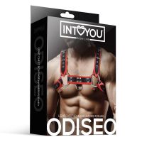 IntoYou Odiseo Chest Bondage Harness for Men Vegan, picture 4