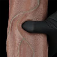 Lovetoy Dual Layered Dildo 13" Cock XXL, picture 7