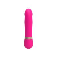 Vibrateur clitoridien Chisa Dildo Vibe Rose, photo 3