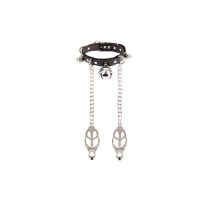 Chisa Master Control Collar with Nipple Clamps, picture 2
