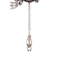 Chisa Master Control Collar with Nipple Clamps, picture 3