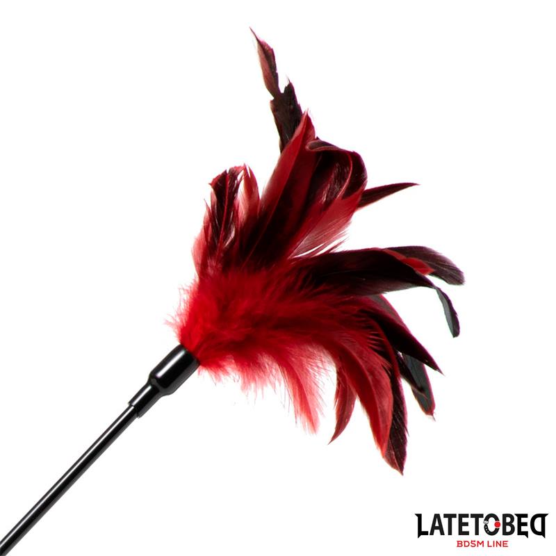 2-in-1 Paddle with feather - Image 3