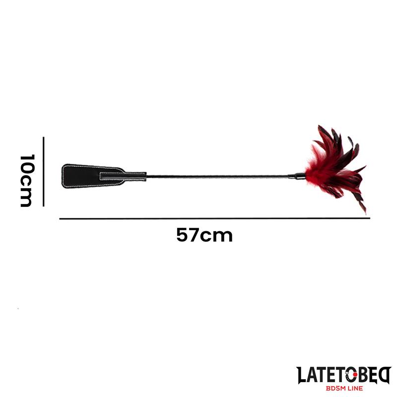 2-in-1 Paddle with feather - Image 5