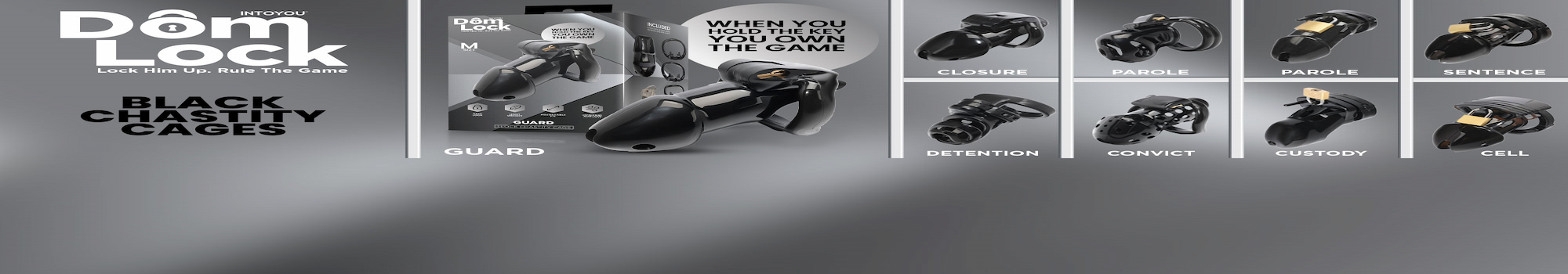 domlock banner